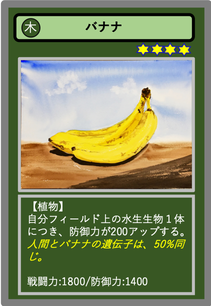 生物カード（木）バナナ